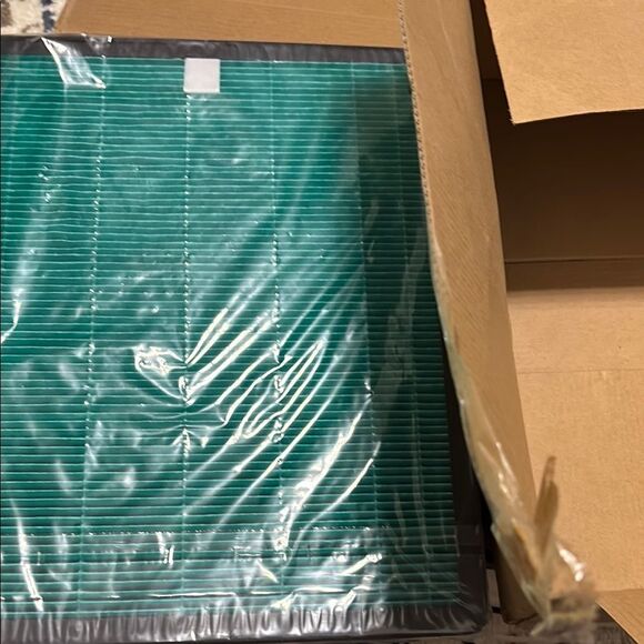 Coway Airmega Air Purifier Replacement Filter (one) - Picture 1 of 4